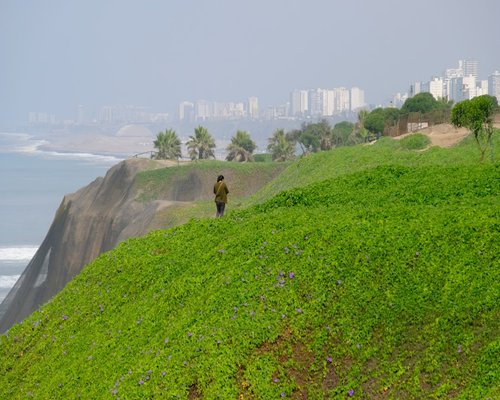 A man walking briskly in a coastal Peruvian park